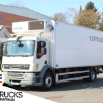 DAF LF55.300-CAMIONES FRIGORIFICOS-REF:
