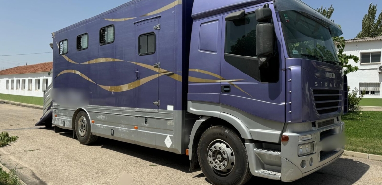 CAMION PARA CABALLOS IVECO AS440S4OT/P – Ref.240730